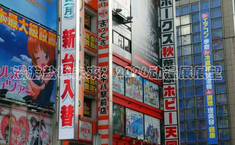 漫游盐城未来：2026动漫展展望
